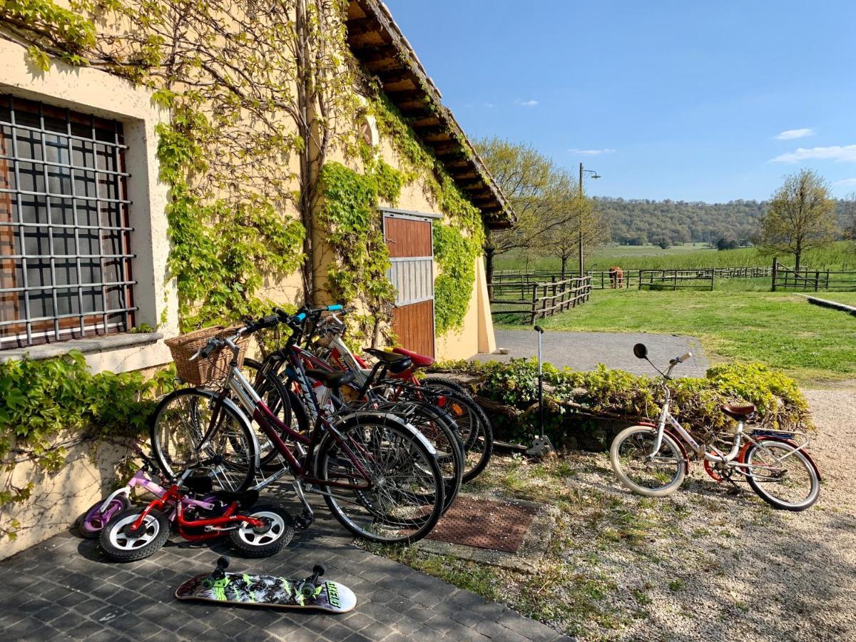 Agriturismo Potrero Grande Sul Lago Di Martignano Con Spiaggia Campagnano Di Roma Exteriör bild