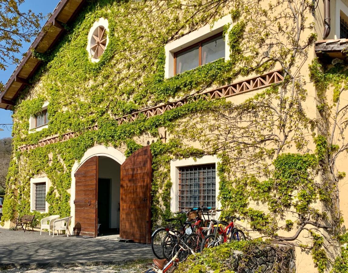 Agriturismo Potrero Grande Sul Lago Di Martignano Con Spiaggia Campagnano Di Roma Exteriör bild