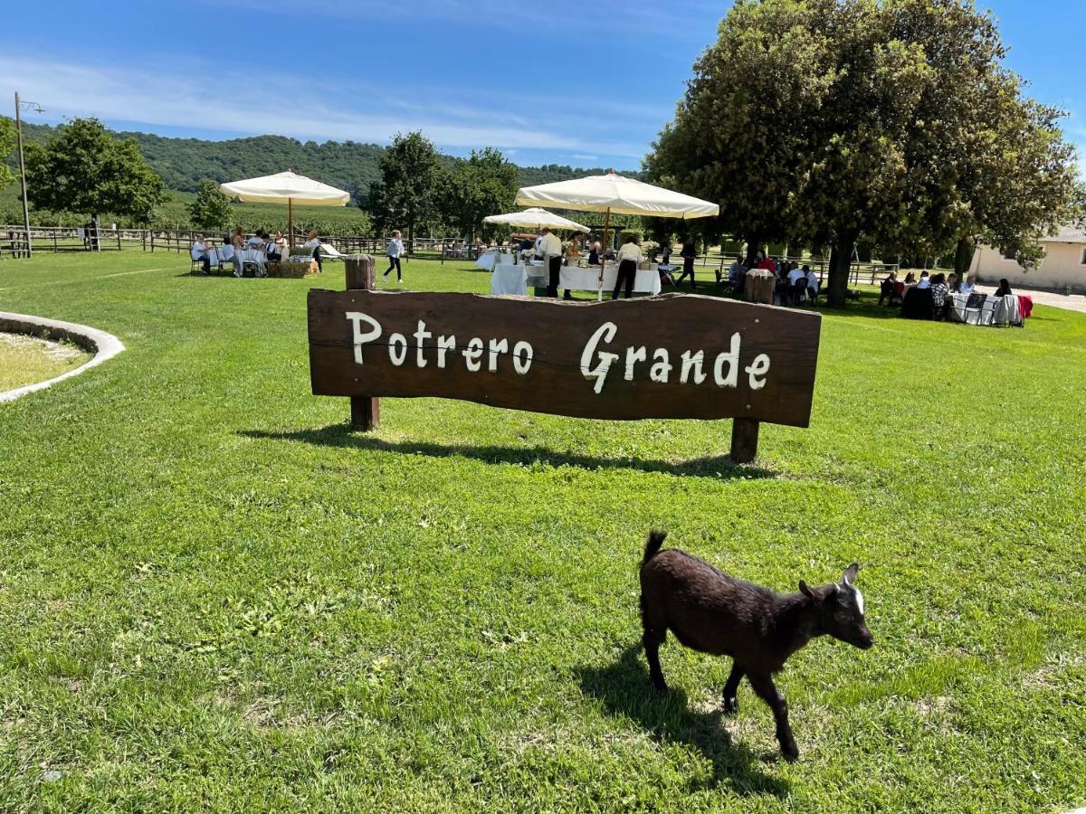 Agriturismo Potrero Grande Sul Lago Di Martignano Con Spiaggia Campagnano Di Roma Exteriör bild