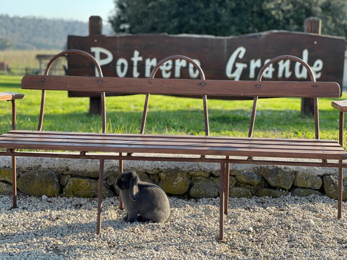 Agriturismo Potrero Grande Sul Lago Di Martignano Con Spiaggia Campagnano Di Roma Exteriör bild