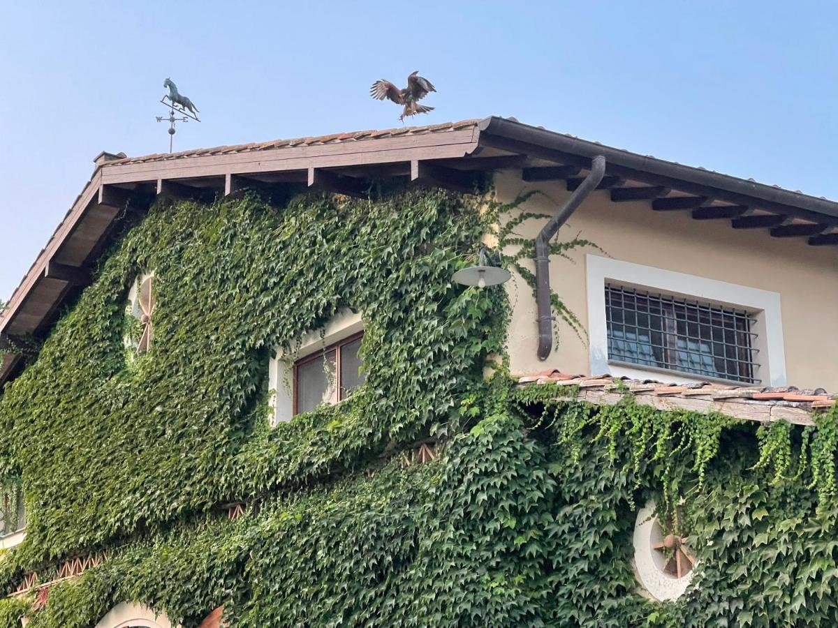 Agriturismo Potrero Grande Sul Lago Di Martignano Con Spiaggia Campagnano Di Roma Exteriör bild
