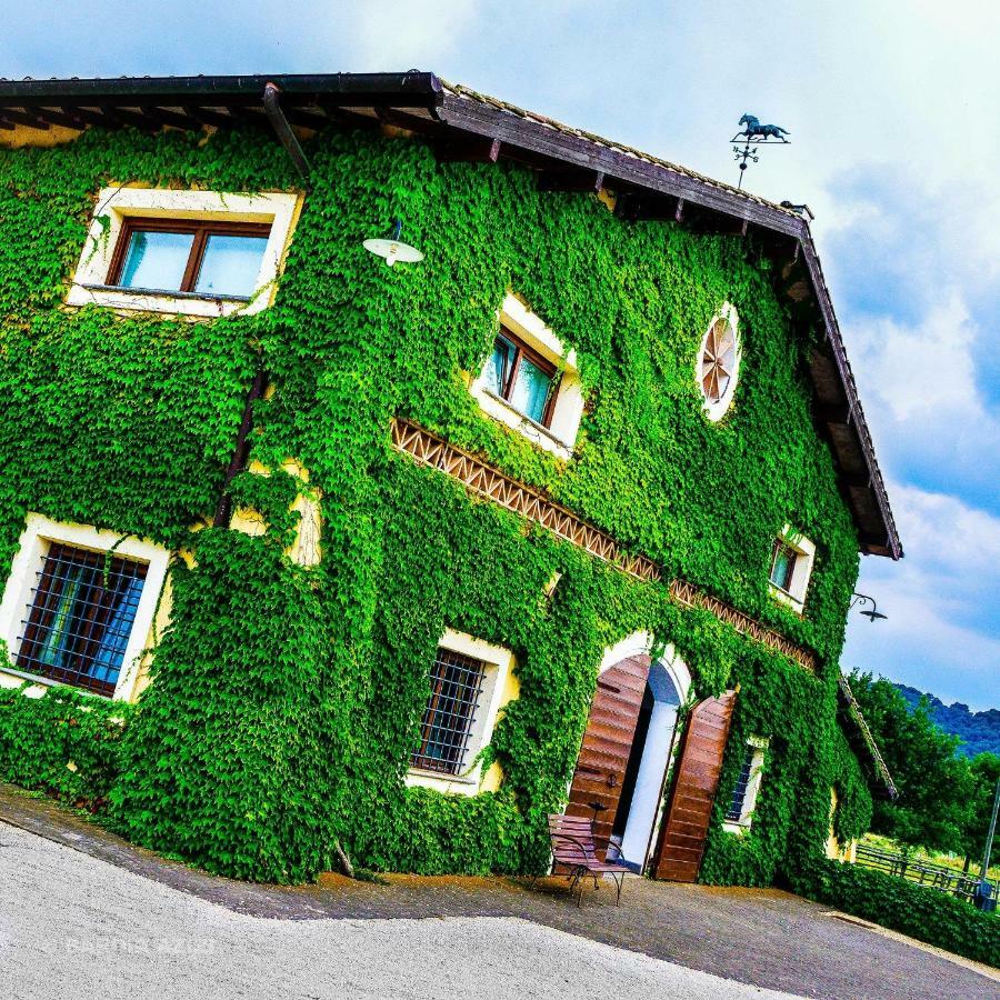 Agriturismo Potrero Grande Sul Lago Di Martignano Con Spiaggia Campagnano Di Roma Exteriör bild